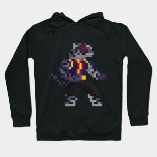 Pixel Shenlong The Tiger Hoodie